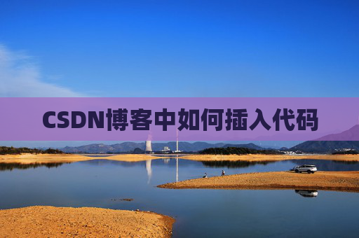CSDN博客中如何插入代码